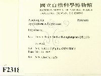 多孔菌屬藏品圖，第2張