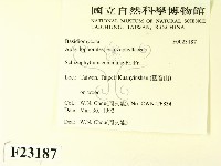 裂褶菌藏品圖，第2張