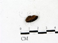 登錄號:F0023188藏品圖，第3張