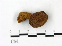 登錄號:F0023189藏品圖，第1張