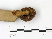 登錄號:F0023189藏品圖，第3張