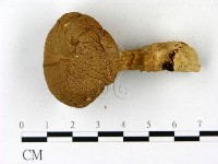 登錄號:F0023190藏品圖，第1張