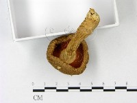 登錄號:F0023190藏品圖，第3張