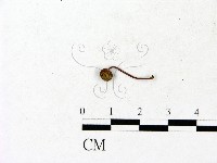 登錄號:F0023192藏品圖，第1張