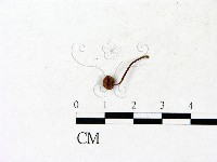 登錄號:F0023192藏品圖，第3張