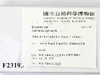 登錄號:F0023193藏品圖，第2張