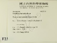 登錄號:F0023195藏品圖，第2張