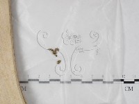 登錄號:F0023198藏品圖，第1張