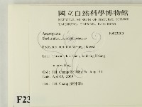 登錄號:F0023200藏品圖，第2張