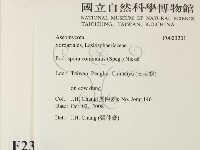 登錄號:F0023201藏品圖，第2張