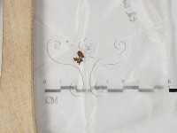 登錄號:F0023201藏品圖，第1張