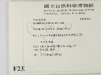 登錄號:F0023202藏品圖，第2張