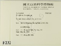 登錄號:F0023203藏品圖，第2張