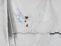 登錄號:F0023203藏品圖，第1張