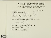 登錄號:F0023204藏品圖，第2張