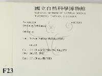 登錄號:F0023205藏品圖，第2張