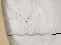 登錄號:F0023205藏品圖，第1張