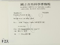 登錄號:F0023208藏品圖，第2張