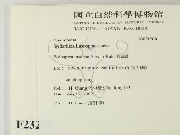 登錄號:F0023209藏品圖，第2張