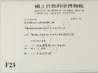 登錄號:F0023210藏品圖，第2張