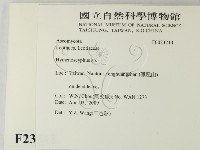 登錄號:F0023213藏品圖，第2張