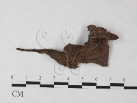 登錄號:F0023213藏品圖，第1張