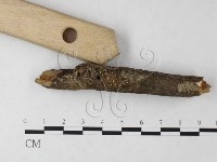 登錄號:F0023214藏品圖，第3張