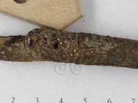 登錄號:F0023214藏品圖，第4張