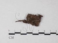 登錄號:F0023215藏品圖，第1張