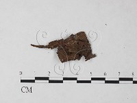 登錄號:F0023215藏品圖，第3張