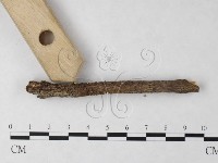 登錄號:F0023217藏品圖，第3張