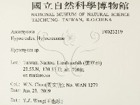 登錄號:F0023219藏品圖，第2張