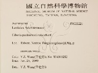 登錄號:F0023221藏品圖，第2張