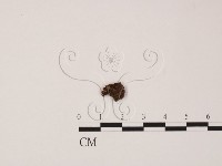 登錄號:F0023221藏品圖，第1張