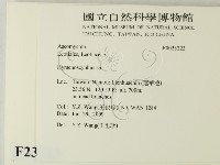 登錄號:F0023223藏品圖，第2張