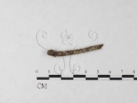 登錄號:F0023223藏品圖，第3張