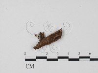 登錄號:F0023227藏品圖，第1張
