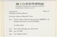 登錄號:F0023227藏品圖，第3張