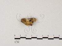 登錄號:F0023228藏品圖，第1張