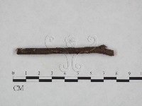 登錄號:F0023229藏品圖，第1張