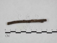 登錄號:F0023229藏品圖，第3張