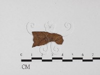 登錄號:F0023230藏品圖，第1張