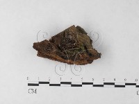 登錄號:F0023231藏品圖，第1張