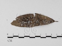 登錄號:F0023232藏品圖，第3張