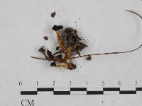 登錄號:F0023235藏品圖，第3張