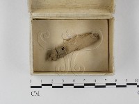 登錄號:F0023236藏品圖，第1張