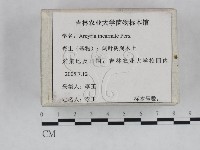 登錄號:F0023237藏品圖，第2張