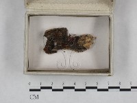 登錄號:F0023237藏品圖，第1張