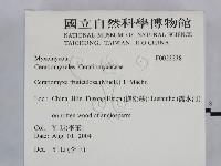 登錄號:F0023238藏品圖，第2張