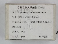 登錄號:F0023238藏品圖，第3張